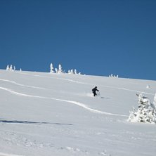 N&auml;. Foto: Tobbe Ryd. &Aring;kare: Johan Carlsson.