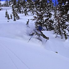 Snorkeldjupt fluff fluff i mustaschen!. Foto: Erik Pernestam (www.pernestam.se). &Aring;kare: G&ouml;ran M&aring;nson.