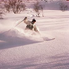 en fin dag i bj&ouml;rnrike.... Foto: Bengt Luthman. &Aring;kare: Bj&ouml;rn &Aring;ngman.