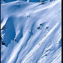 Foto: martin s&ouml;derqvist. &Aring;kare: bj&ouml;rn wickman.