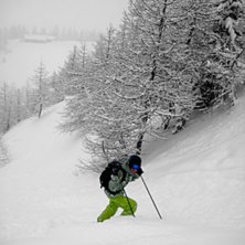 Fornetskogen, mmmhmm.. Foto: Cecilia Cronqvist. &Aring;kare: Hedda Berander.