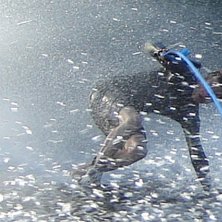 slide. Foto: Jonatan Linsmeier. &Aring;kare: Gustaf Nordenhed.