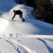 Foto: Gustav Ohlsson. &Aring;kare: Per Wendel.