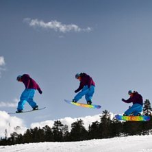 Foto: Kajsa G&ouml;ransson. &Aring;kare: Vet ej.