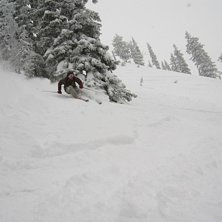 Foto: Johan tapani. &Aring;kare: Martin Kobb.