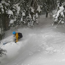 Foto: David Als&eacute;n. &Aring;kare: Gustav Holmer.