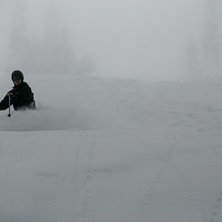 &Aring;kare: Ulf Sj&ouml;holm.