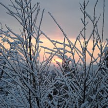 Foto: Linn &Ouml;stlund.