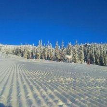 Str&aring;lende vintersol 
Velkommen til nok en fantast.