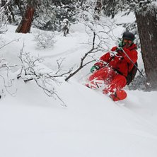 Skogs&aring;kning i slutet av s&auml;songen. Foto: Martin Wikstr&ouml;m. &Aring;kare: Adam Jonsson.