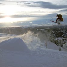 puss p&aring;re. Foto: lee myhr. &Aring;kare: moi.