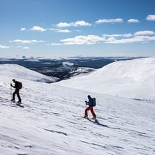 P&aring; v&auml;g upp p&aring; H&ouml;gfj&auml;llet.