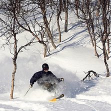 Foto: Joakim Jansson. &Aring;kare: Joel Snickars.