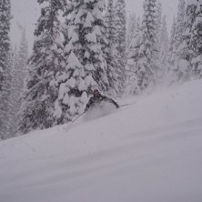 Foto: Stina Stenquist. &Aring;kare: Ulf Nordstrand.