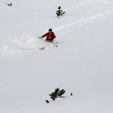 Foto: Sandra Gustafsson. &Aring;kare: Karl Rydberg.