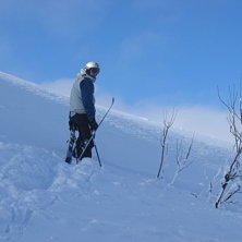 En h&auml;rlig dag i H&ouml;gis ravinen. Foto: Andreas Andersson. &Aring;kare: Peter Withfeldt.