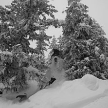 Foto: Albert Olsson. &Aring;kare: Henrik Hermansson &amp;amp; Maxime Francoeur-Lavoie.