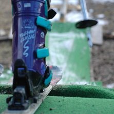 oink. Foto: ct axelsson. &Aring;kare: ALLEa.