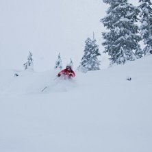 Foto: Andreas Sj&ouml;berg. &Aring;kare: Mattias Fredler.