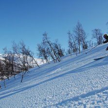 Lite slaskig skogs&aring;kning efter en fantastiskt fin. Foto: Malin Albing. &Aring;kare: Daniel Albing.