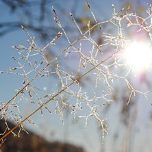 Foto: Linn &Ouml;stlund.