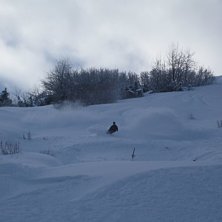 Foto: Thor-Vald. &Aring;kare: Christer H&auml;llare.