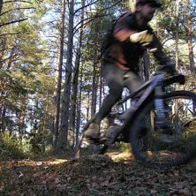 Skogstur p&aring; V&auml;ttlefj&auml;llsleden med Ball MTB.. Foto: Johan Olofsson.