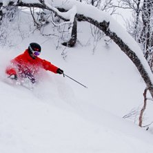 22 december i &Aring;re.

Cred till Marcus Olsson f&ouml;. Foto: Marcus Olsson. &Aring;kare: Niklas Borg.