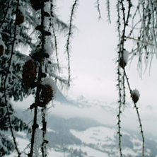 Foto: Ted St&aring;lhammar.