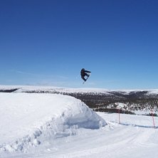 bs 5 tail. Foto: Ingo De Temple. &Aring;kare: Jocke Hammar.