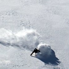 Ett ov&auml;ntat dump ger ov&auml;ntad gl&auml;dje. Foto: Emil Persson. &Aring;kare: Ok&auml;nd.
