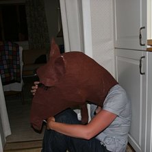 Foto: Karin. &Aring;kare: &Aring;ngesth&auml;sten.