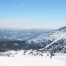 Foto: Niklas Ericsson.