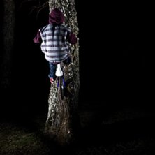 Liten tree ride :). Foto: Magnus Karlsson. &Aring;kare: Emil Jonsson.