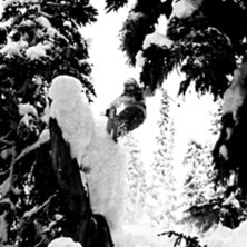 Foto: Lisa Wennerlund. &Aring;kare: Kristoffer Hj&auml;rtstr&ouml;m.