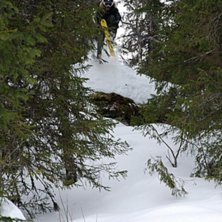 G&aring;r bevisligen att hitta sjyssta &aring;k &auml;ven i Bj&ouml;. Foto: Per G&aring;nf&auml;lt. &Aring;kare: Verner Eriksson.