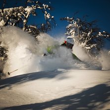 En vanlig dag p&aring; Bj&ouml;rnrike. Foto: Erik Hammarsten. &Aring;kare: Pierre Ruda.
