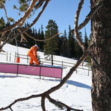 Foto: Jesper Tengvall. &Aring;kare: Oskar Brandberg.