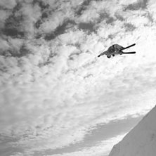 Springsession i klinten, sk&ouml;nt h&auml;ng,energidryck . Foto: Mariah. &Aring;kare: Martin Franklin.