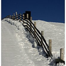 Foto: Conny Bergqvist. &Aring;kare: Staket.