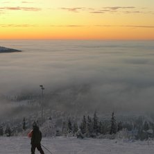Foto: Stefan Johansson. &Aring;kare: Peter L&ouml;nn.