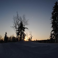 Foto: Linn.