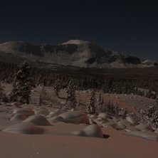 Borkastupet i m&aring;nsken. Foto: Lisa Lind.