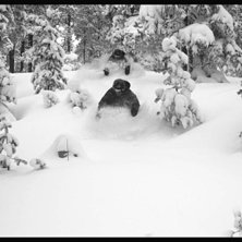 fgfgfdgdffhgfhg
. Foto: Felix Hindemo. &Aring;kare: Gustav Edvall.