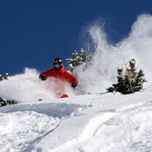 Rothorns face &auml;nnu en g&aring;ng. Foto: Adam Jonsson. &Aring;kare: Robin Ljungqvist.
