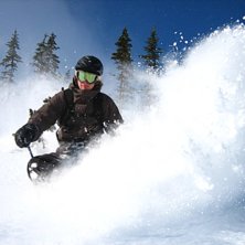 Foto: Filip Gepertz. &Aring;kare: David Albenius.