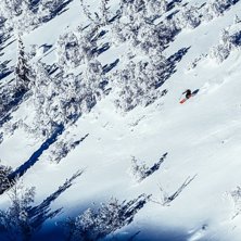Gles skog m&ouml;ter dig som t&auml;nkt &aring;ka i ravinen.. Foto: Axel Adolfsson.