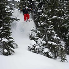 Robin satsar &ouml;ver ett par granar... Foto: Ldwig Andersson. &Aring;kare: Robin Sandberg.
