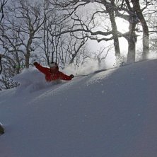 Arigato Japan!!

Dr&ouml;mskog i Higashi One........ Foto: Henrik Liljeqvist. &Aring;kare: Robert Hortlund.