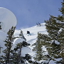 Vi hajkade lite den dagen och hittade supertorr or. Foto: Per Nyberg. &Aring;kare: Joakim Ericsson.